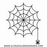 Teia Aranha Colorir Spinnennetz Ragnatela Ausmalbilder Spiderweb Ultracoloringpages sketch template