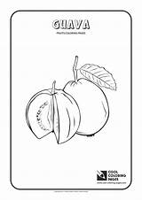 Coloring Guava Pages Fruits Cool Kids Tamarillo sketch template