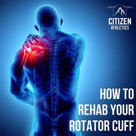 how to rehab your rotator cuff citizen athletics