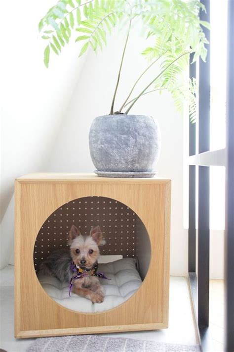 modern indoor dog houses  small dogs homemydesign