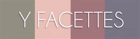 thenotice ysl y facettes pure chromatics no 14 palette review