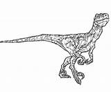 Jurassic Dinosaur Raptor Jurassique Parc Dinosaurier Lego Dinosaurus Indominus Dinossauro Colorier Coloringhome Dilophosaurus Malvorlage Velociraptor Ausmalen Dinossauros Pasta Imprimé Dessins sketch template