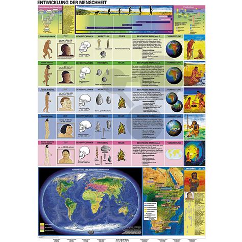 wandkarte entwicklung der menschheit evolution mendelsche genetik