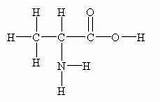 Alanine Acids Glycine sketch template