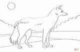 Coloring Pages Jackal Striped Side Coyote Kids Cute Animals Preschool Drawing Animal Printable sketch template