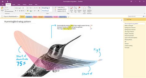 onenote  onenote  windows  whats  difference onmsft