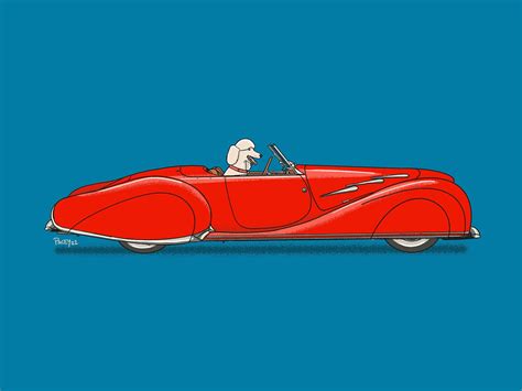 princess  poodle driving  vintage red roadster art etsy