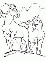 Colorir Cavalo Desenhos Coloriage Stallion Cavalos Cimarron Mustang Cheval Kolorowanki Konie Horses Malvorlagen Dibujo Kolorowanka Cavalli Caballo Kleurplaten Ligne Caballos sketch template