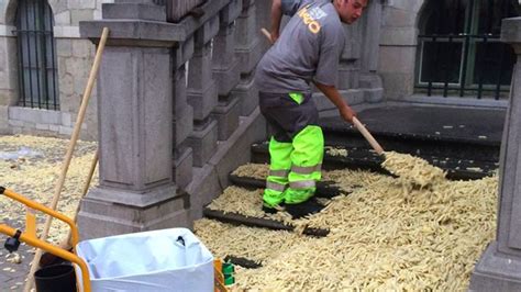 belgian city hall s steps are covered in 2 glorious tons of protest fries