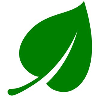 leaf icon png