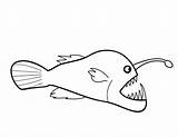 Fish Angler Drawing Anglerfish Coloring Pages Getcolorings Color Getdrawings Paintingvalley Printable sketch template