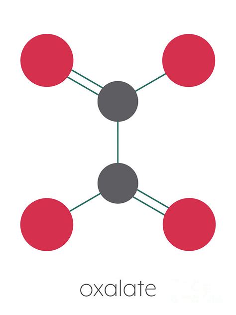 oxalate anion chemical structure  photograph  molekuulscience