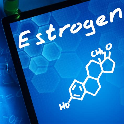 estrogen metabolism