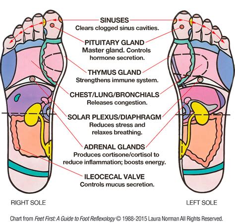 diy foot reflexology 7 pressure points to relieve seasonal allergies