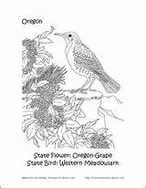 Coloring State Bird Pages Flower National Crater Lake Oregon Park Tennis Wordsearch Printables Designlooter Road Trip Puzzle Crossword Learning Fun sketch template