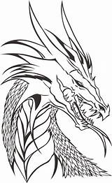 Dragon Drawing Drawings Cool Coloring Dragons Smaug Easy Head Pages Tattoo Background Sketch Pencil Kids Printable Choose Board Pixabay Realistic sketch template