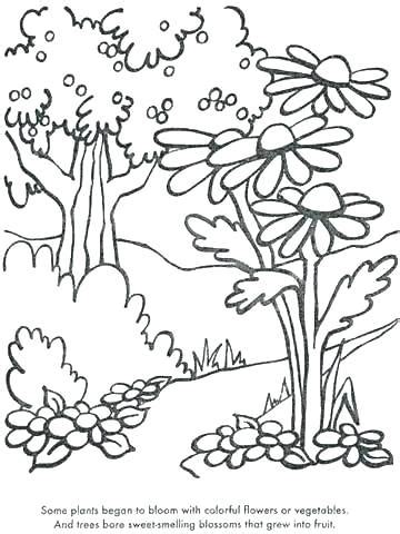 trees plants  flowers coloring pages coloring pages