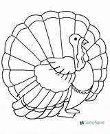 Turkey Coloring Pages Wild Printable sketch template