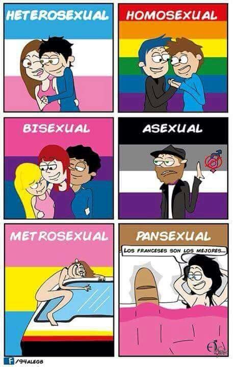 pansexual lgbtq in 2018 pinterest humor memes and lol