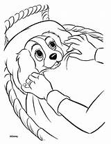 Dama Disney Vagabundo Tramp Clochard Susi Strolch Imprimer Colorir Ausmalbilder Zakochany Kundel Imprimir Coloriages Kolorowanki Kolorowanka Schlafen Coloriage Dormire Dogs sketch template