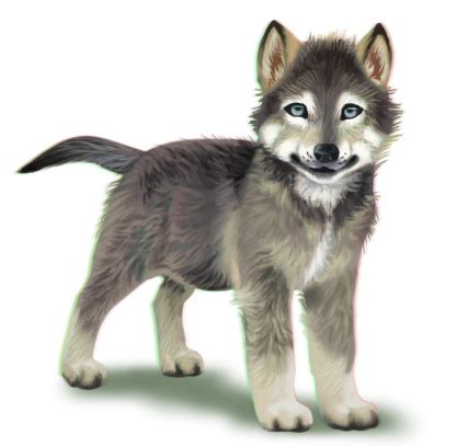 hq wolf png transparent wolfpng images pluspng