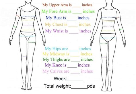 fillableprintable weekly body measurement chart  follow