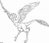 Microraptor Dinosaurs sketch template