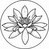 Lily Pad Coloring Getcolorings Printable sketch template