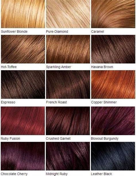 Hair Color Hair Color Chart Hair Color Dark Red Hair Color Chart