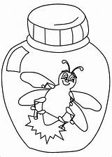 Coloring Bug Pages Lightning Bugs Firefly Color Clipart Preschool Pill Animals Drawing Ladybug Firefly2 Printable Bolt Template Pennsylvania Kids Insect sketch template