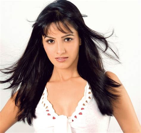 anita hassanandani hot hot and latest photoshoot hq photos ~ world actress photos bollywood