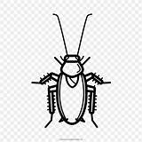Cockroach Cucaracha Colorear Mewarnai Kecoa Roach Gambar Hitam Putih Repellent Repel Buku Kolorowanki Menggambar sketch template