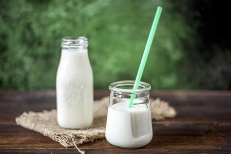 membuat yoghurt  susu kental manis info tentang susu