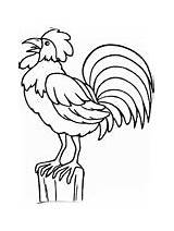 Rooster Coloring Year Chinese Various sketch template