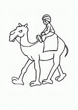 Camel Coloring Caravan Library Clipart Colouring Popular sketch template