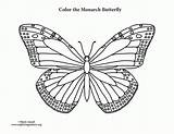 Butterfly Monarch Coloring Pages Drawing Line Outline Printable Getcolorings Color Popular Getdrawings Print Paintingvalley sketch template
