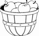 Bushel Apples Coloring Pages Fruits sketch template