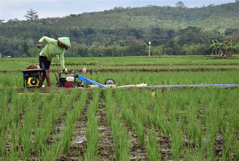 solusi  tingkatkan kualitas pertanian indonesia