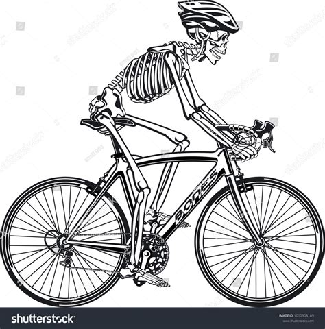 human skeleton riding racing bicycle stock vector royalty