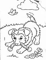 Coloring Pages Puppy Puppies Little sketch template