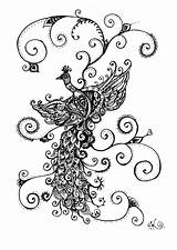 Zentangle Peacock Henna Designs Peacocks Doodle Deviantart Swirly Artists Tattoo sketch template