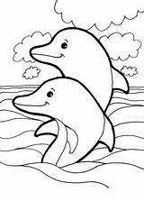 Delfini Pianetabambini Stampare Delfino Animali Pagine Adulti Disegno Vetrate Salvato sketch template