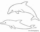 Dolphins Printable Coloring Dolphin Pages Easy Colouring Drawing Couple Playing Draw Drawings Cliparts Step Clipart Printables Template Print Animals Baby sketch template