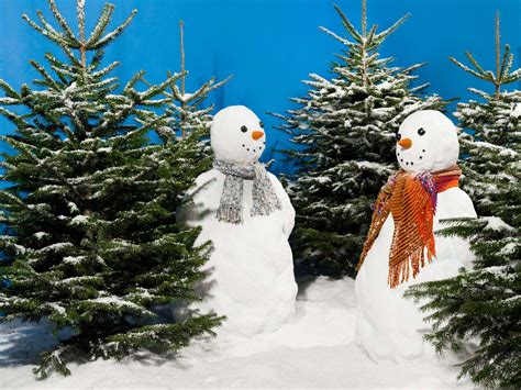 weisse weihnachtsbaeume tannenbaum deko mit dekoschnee