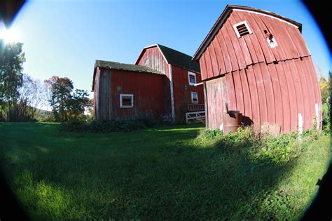 friendship ny early morning down on the farm photo