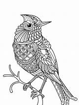 Bird Coloring Pages Book Printable Birds Kids Visit Adult sketch template