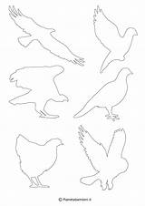 Uccelli Sagome Ritagliare Stampare Uccellini Animali Uccello Pianetabambini Sagoma Degli Piccoli Pagine Paesaggi Vitalcom sketch template
