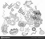 Reef Ecosystem Inhabitants Mariaflaya Depositphotos sketch template