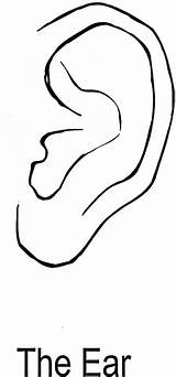 Coloring Ear Colorare Ohr Disegni Ears Orecchie Orecchio Orelha Ausmalbild Kolorowanki Kleurplaat Oor Supercoloring Ucho Kleurplaten Druku Kolorowanka Bambini Kategorien sketch template