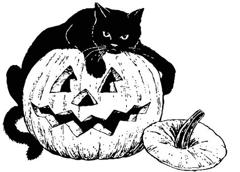 halloween black cat drawing  getdrawings